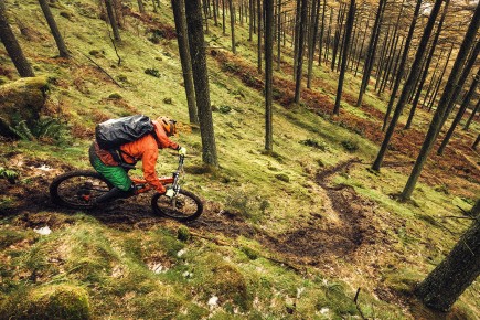 MBR Magazine // Grizedale Forest